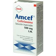 CEFTRIAXONA (AMCEF) SOL INJ 500mg 2ml