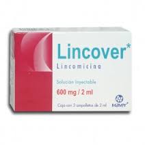 Lincover INJECTION 600mg 2ml SOL 3 Vials, Lincomycin